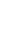 TikTok Icon